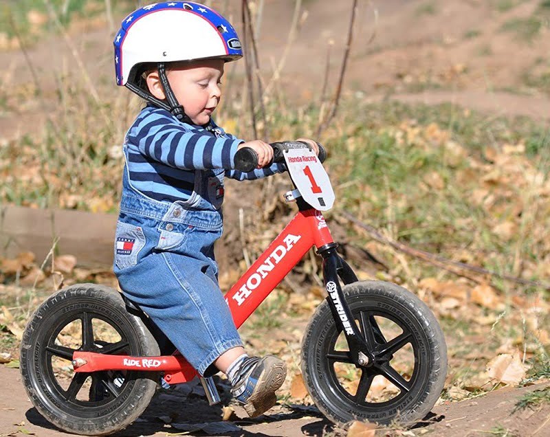 what is the best bike for a 2 year old